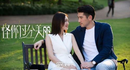 娱乐圈全员 爆料 小说,全员爆料背后的秘密与真相  第3张