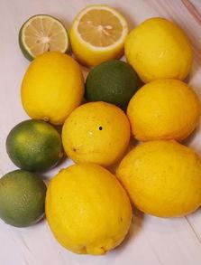 网红柠檬吃瓜,吃瓜界的清新代表  第2张