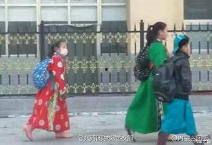 蒙古袍子爆料视频大全,揭秘民族服饰背后的故事与魅力  第1张