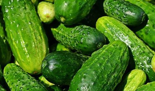 黄瓜农药爆料方法视频大全,教你轻松识别农药残留  第1张