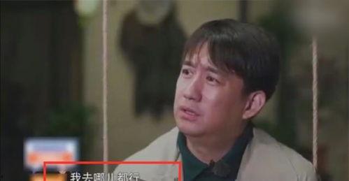 小天后爆料黄磊视频全集,小天后爆料视频全集，真实生活与演艺事业全解析  第2张